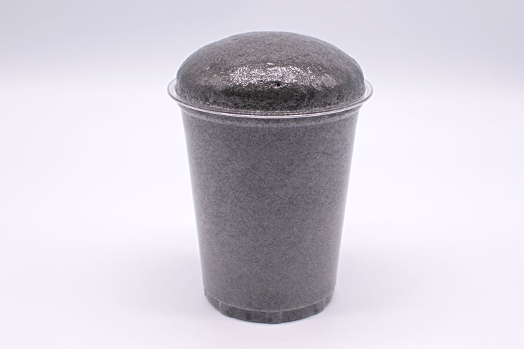 バンテクト P-2(ウレタンスポンジタイプ)